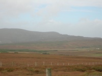 Peat bog.jpg